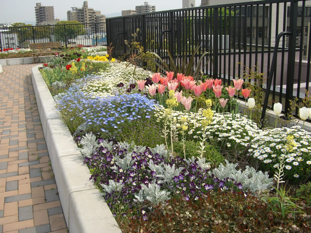 福岡市南区老人ホームケアホーム花うさぎ塩原屋上園庭2